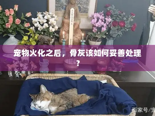 宠物火化之后,骨灰该如何妥善处理? 宠物火化之后,骨灰该如何妥善处理?