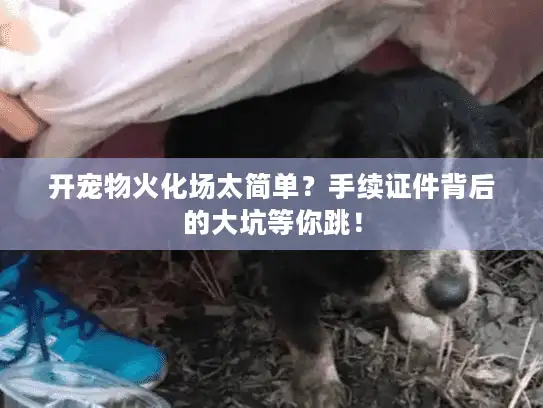 开宠物火化场太简单？手续证件背后的大坑等你跳！