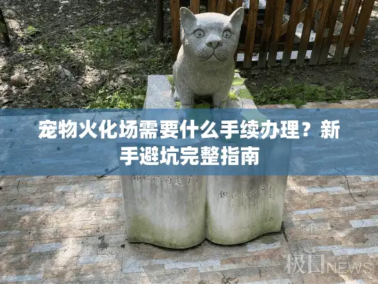 宠物火化场需要什么手续办理?新手避坑完整指南 宠物火化场需要什么手续办理?新手避坑完整指南