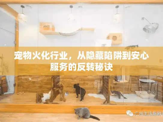 宠物火化行业，从隐藏陷阱到安心服务的反转秘诀