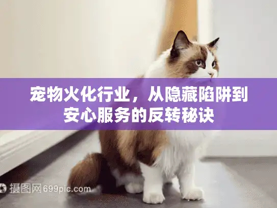 宠物火化行业，从隐藏陷阱到安心服务的反转秘诀