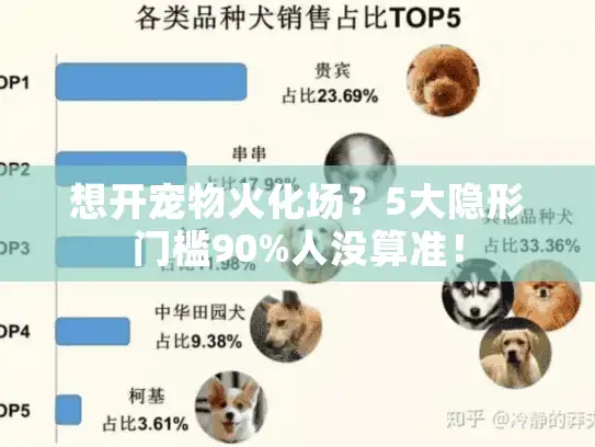 想开宠物火化场？5大隐形门槛90%人没算准！