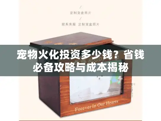 宠物火化投资多少钱？省钱必备攻略与成本揭秘