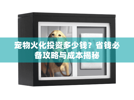 宠物火化投资多少钱？省钱必备攻略与成本揭秘