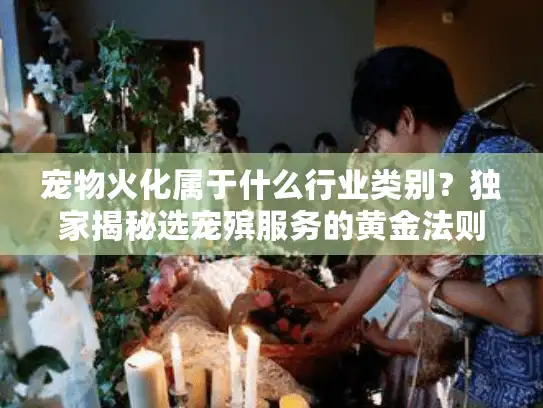 宠物火化属于什么行业类别?独家揭秘选宠殡服务的黄金法则 宠物火化属于什么行业类别?独家揭秘选宠殡服务的黄金法则