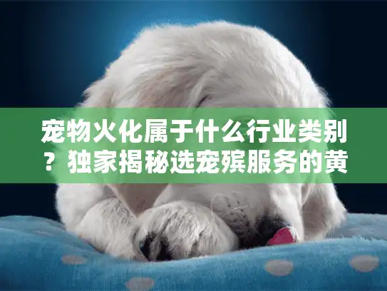 宠物火化属于什么行业类别?独家揭秘选宠殡服务的黄金法则 宠物火化属于什么行业类别?独家揭秘选宠殡服务的黄金法则