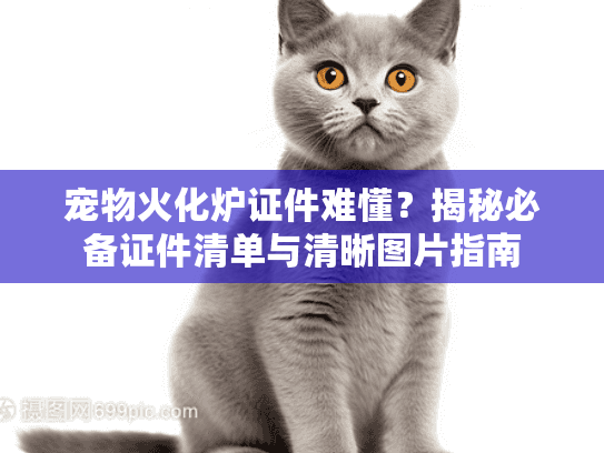 宠物火化炉证件难懂？揭秘必备证件清单与清晰图片指南