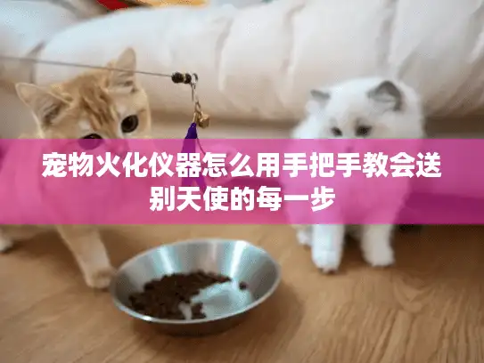 宠物火化仪器怎么用手把手教会送别天使的每一步 宠物火化仪器怎么用手把手教会送别天使的每一步