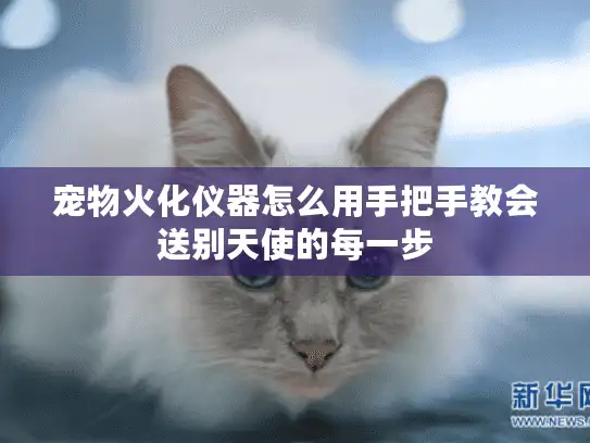 宠物火化仪器怎么用手把手教会送别天使的每一步 宠物火化仪器怎么用手把手教会送别天使的每一步