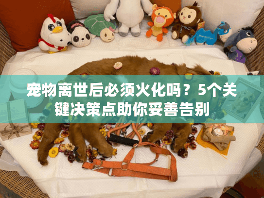 宠物离世后必须火化吗?5个关键决策点助你妥善告别 宠物离世后必须火化吗?5个关键决策点助你妥善告别