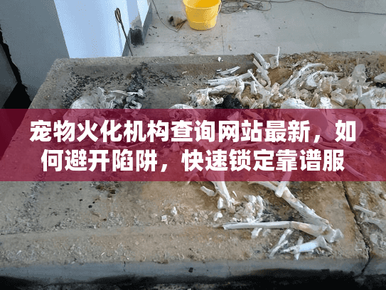 宠物火化机构查询网站最新,如何避开陷阱,快速锁定靠谱服务? 宠物火化机构查询网站最新,如何避开陷阱,快速锁定靠谱服务?