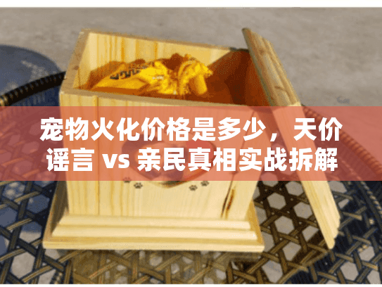 宠物火化价格是多少，天价谣言 vs 亲民真相实战拆解