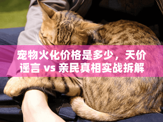 宠物火化价格是多少，天价谣言 vs 亲民真相实战拆解