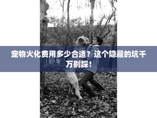 宠物火化费用多少合适？这个隐藏的坑千万别踩！