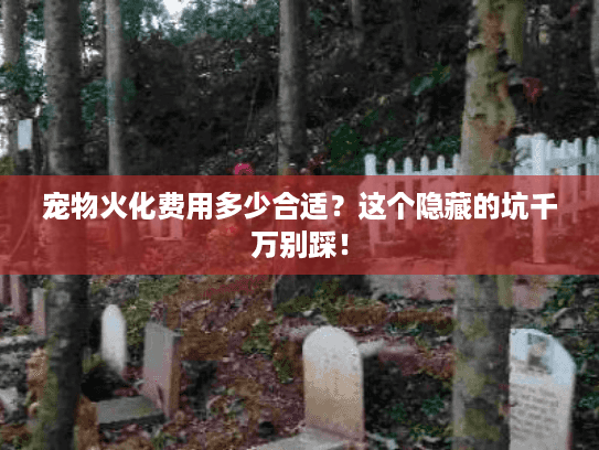 宠物火化费用多少合适？这个隐藏的坑千万别踩！