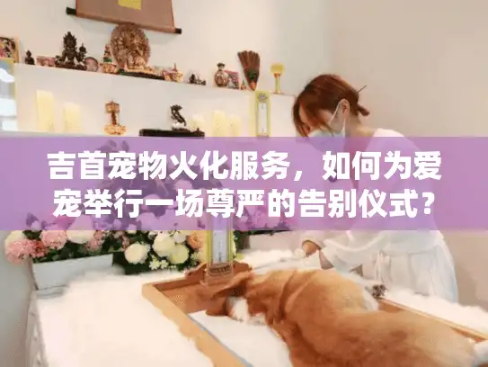 吉首宠物火化服务，如何为爱宠举行一场尊严的告别仪式？