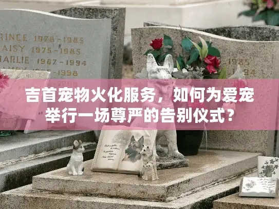 吉首宠物火化服务，如何为爱宠举行一场尊严的告别仪式？