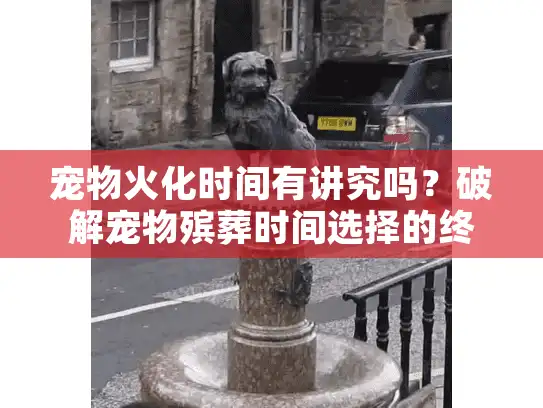 宠物火化时间有讲究吗？破解宠物殡葬时间选择的终极秘籍