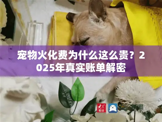 宠物火化费为什么这么贵？2025年真实账单解密