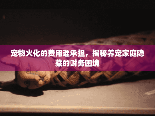宠物火化的费用谁承担，揭秘养宠家庭隐藏的财务困境