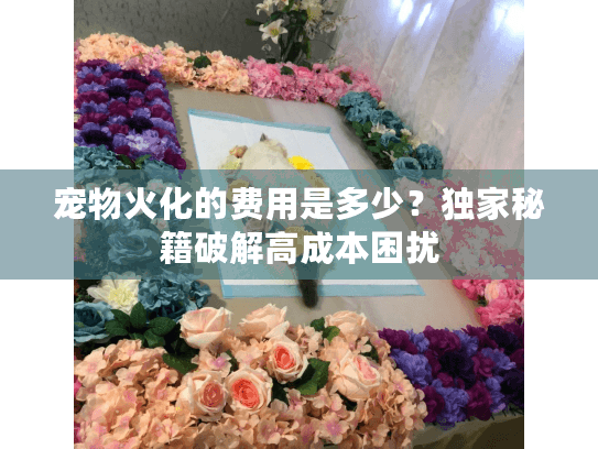 宠物火化的费用是多少?独家秘籍破解高成本困扰 宠物火化的费用是多少?独家秘籍破解高成本困扰