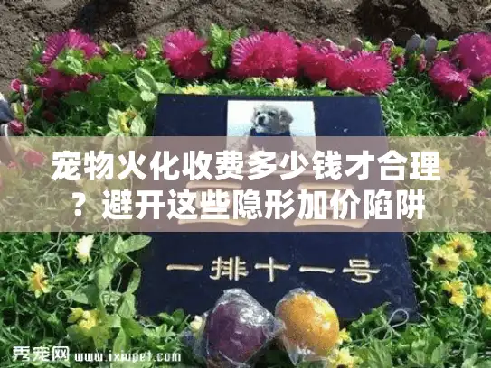 宠物火化收费多少钱才合理？避开这些隐形加价陷阱