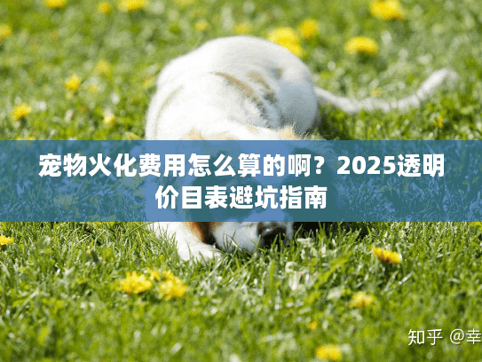 宠物火化费用怎么算的啊？2025透明价目表避坑指南