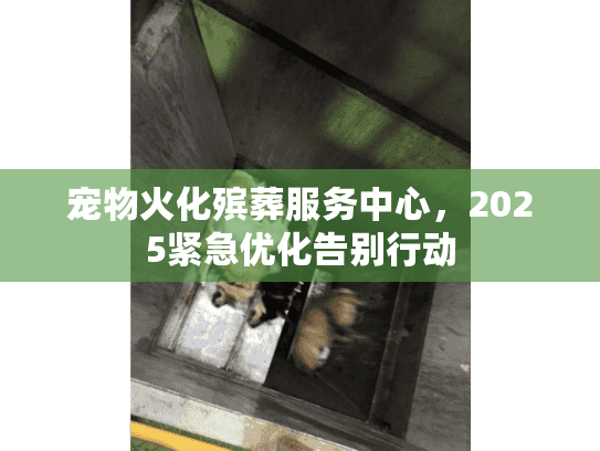 宠物火化殡葬服务中心，2025紧急优化告别行动