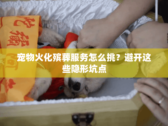 宠物火化殡葬服务怎么挑？避开这些隐形坑点