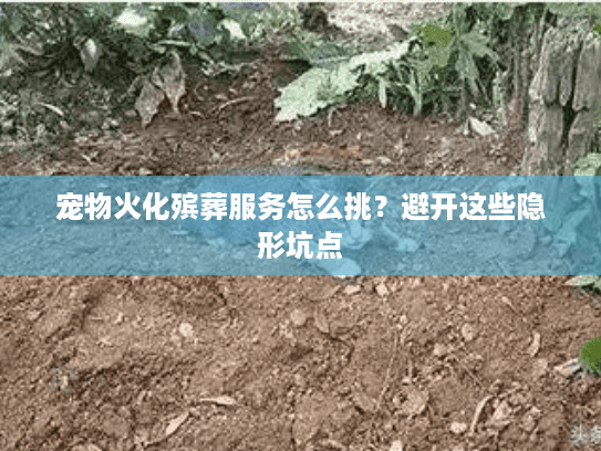 宠物火化殡葬服务怎么挑？避开这些隐形坑点