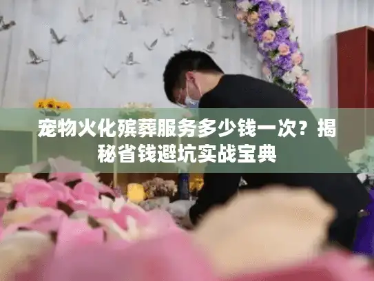 宠物火化殡葬服务多少钱一次？揭秘省钱避坑实战宝典