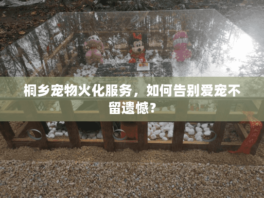 桐乡宠物火化服务,如何告别爱宠不留遗憾? 桐乡宠物火化服务,如何告别爱宠不留遗憾?