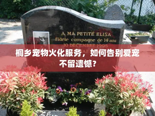 桐乡宠物火化服务,如何告别爱宠不留遗憾? 桐乡宠物火化服务,如何告别爱宠不留遗憾?