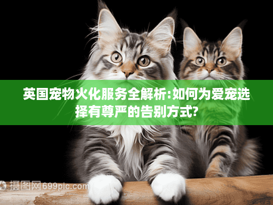 英国宠物火化服务全解析:如何为爱宠选择有尊严的告别方式?