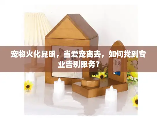 宠物火化昆明，当爱宠离去，如何找到专业告别服务？
