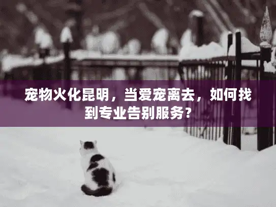 宠物火化昆明，当爱宠离去，如何找到专业告别服务？