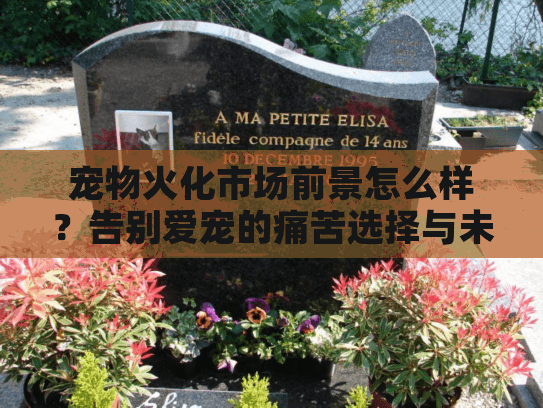 宠物火化市场前景怎么样？告别爱宠的痛苦选择与未来方案