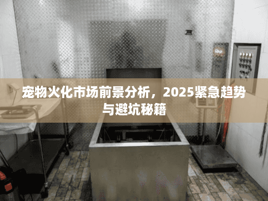 宠物火化市场前景分析，2025紧急趋势与避坑秘籍