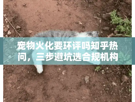 宠物火化要环评吗知乎热问，三步避坑选合规机构