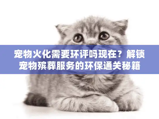 宠物火化需要环评吗现在？解锁宠物殡葬服务的环保通关秘籍