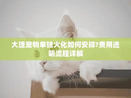 大理宠物单独火化如何安排?费用透明流程详解