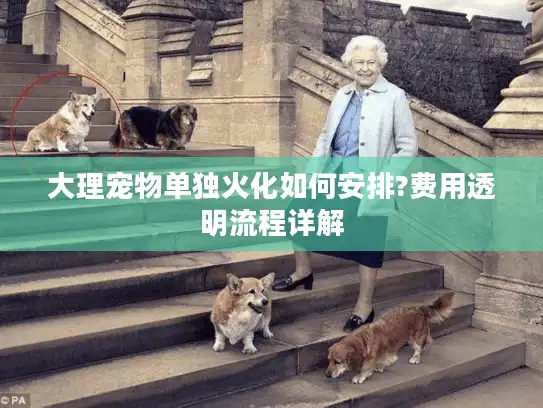 大理宠物单独火化如何安排?费用透明流程详解