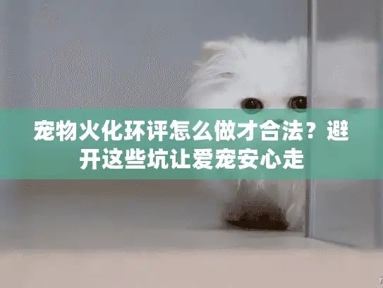 宠物火化环评怎么做才合法？避开这些坑让爱宠安心走