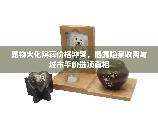 宠物火化殡葬价格冲突，揭露隐藏收费与城市平价选项真相