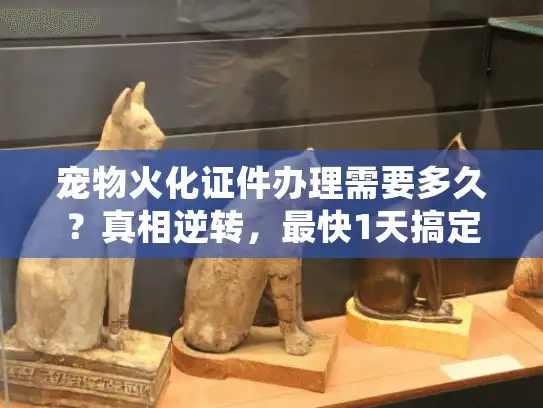 宠物火化证件办理需要多久？真相逆转，最快1天搞定！