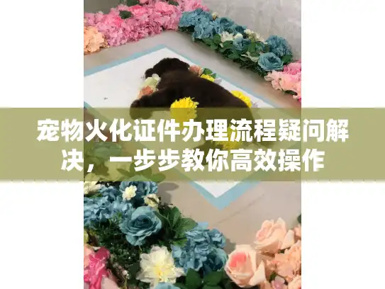 宠物火化证件办理流程疑问解决，一步步教你高效操作