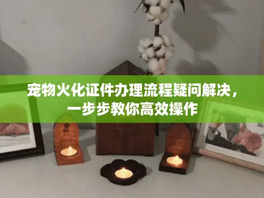 宠物火化证件办理流程疑问解决，一步步教你高效操作