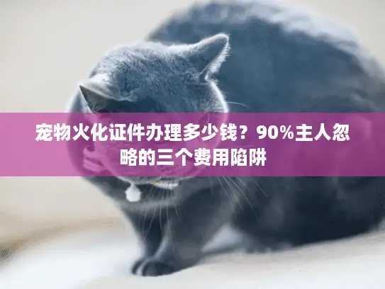 宠物火化证件办理多少钱？90%主人忽略的三个费用陷阱
