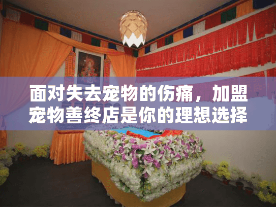 面对失去宠物的伤痛，加盟宠物善终店是你的理想选择吗？