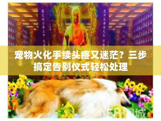 宠物火化手续头疼又迷茫？三步搞定告别仪式轻松处理